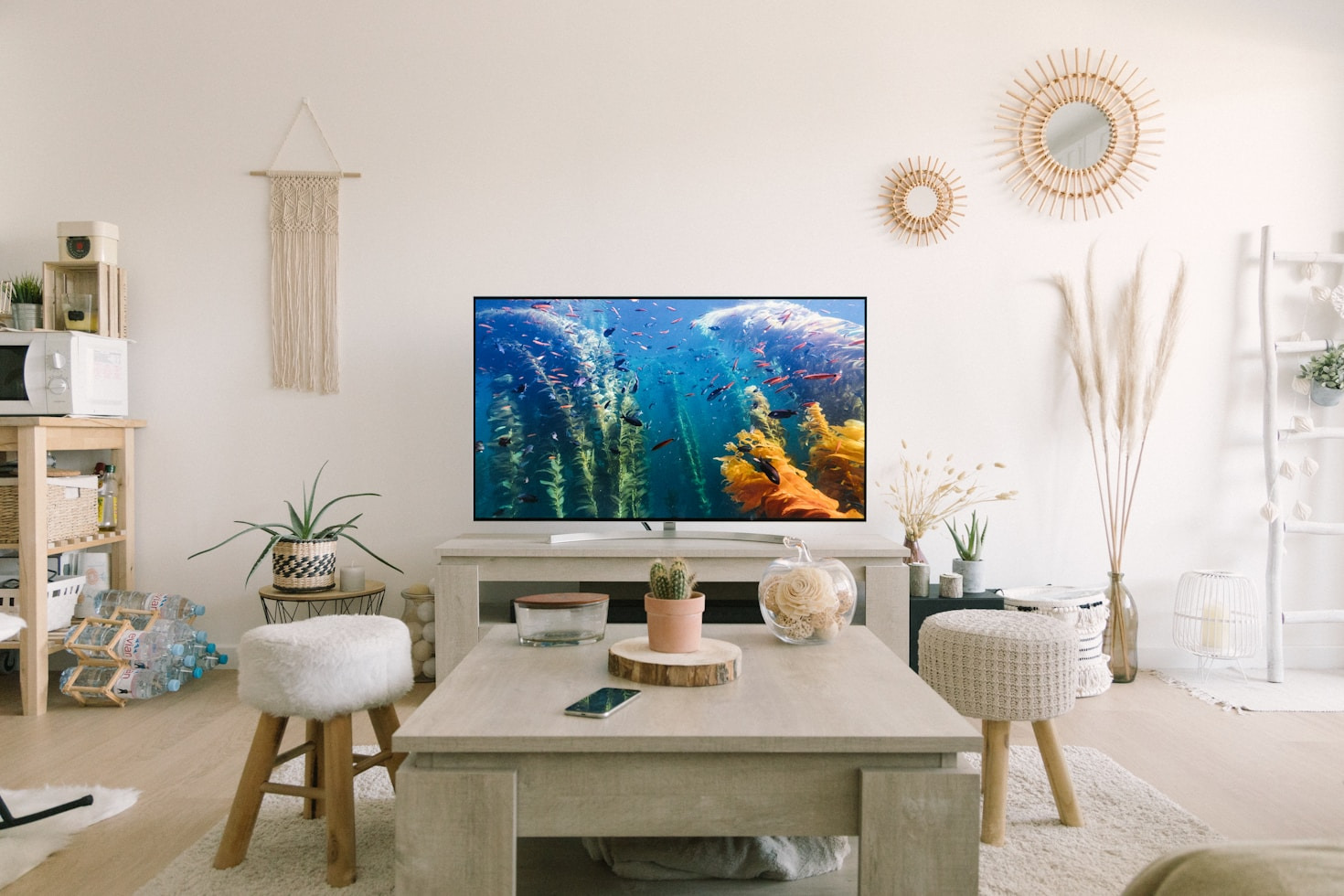 Os programas que estão dominando as telas atualmente